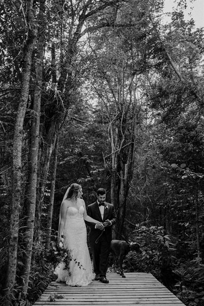 Allison Lucienne Photography