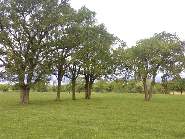 Covenant Country Venue