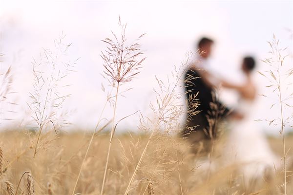 Covenant Country Venue