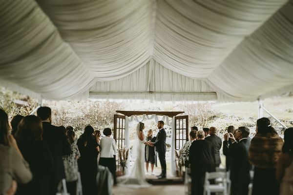 Andria Lee Winters Msc. D.