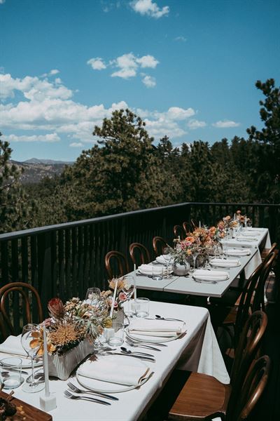 paper forest design + planning