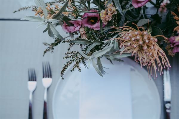 paper forest design + planning