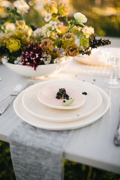 paper forest design + planning