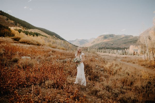 paper forest design + planning