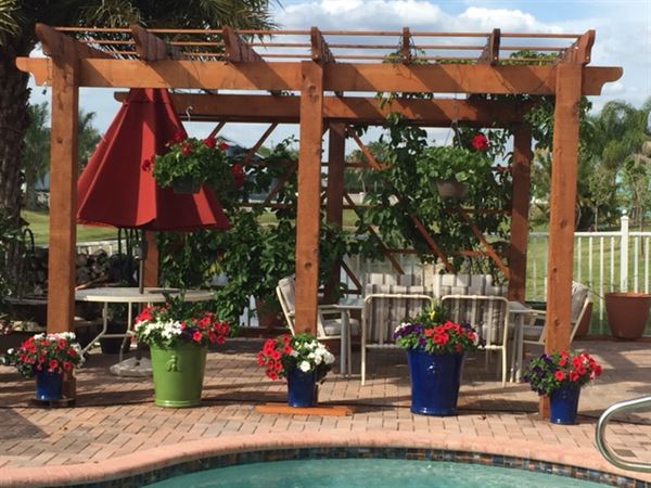 Senor Pepe's Paella Catering LLC