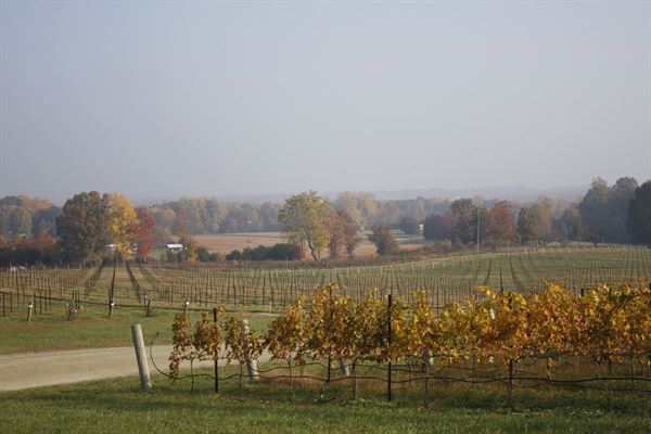 Raffaldini Vineyards & Winery