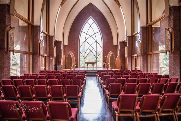 Beautiful Beginnings by Tarri