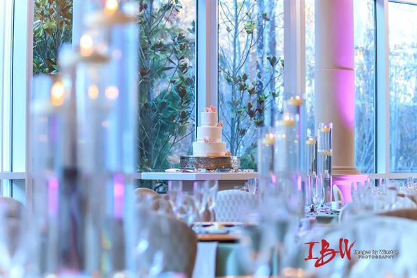 Beautiful Beginnings by Tarri