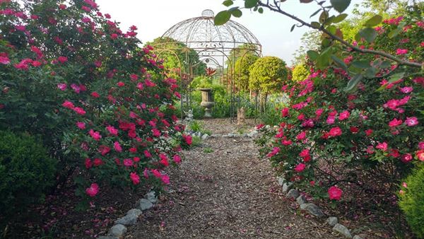 Prince Victorian Estate