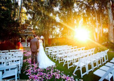 Twin Oaks  House Gardens