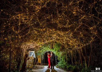 Twin Oaks  House Gardens