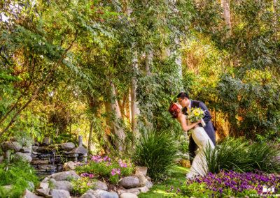 Twin Oaks  House Gardens