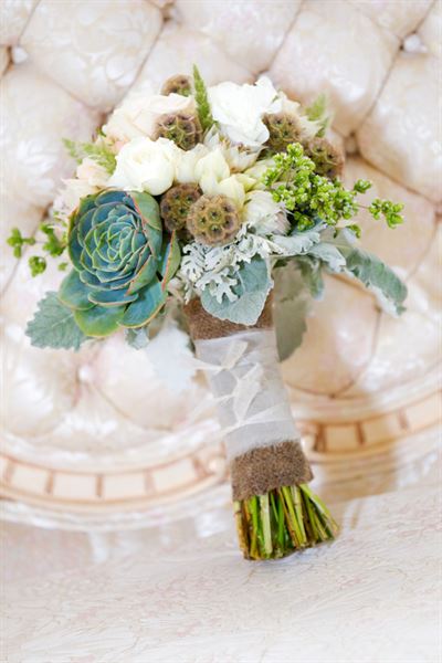 ProImage Weddings Photographers