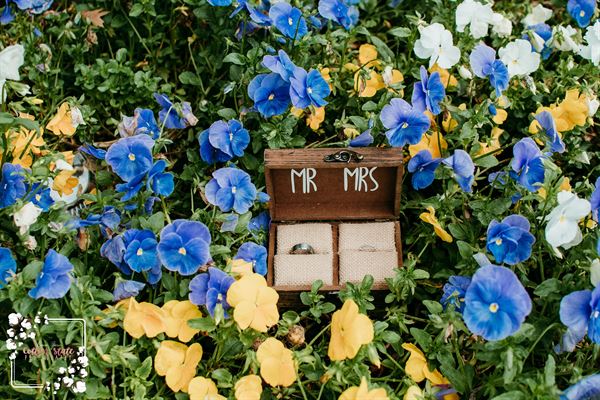 Cotton State Photography