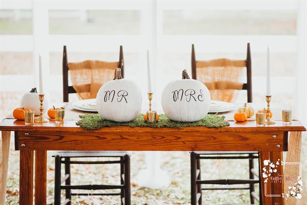 Cotton State Photography