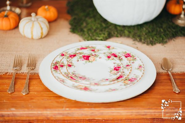 Cotton State Photography