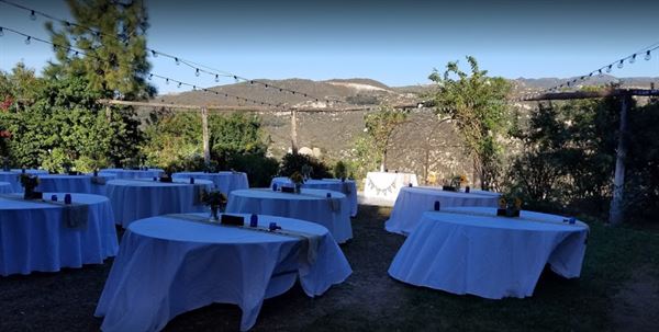 Secluded Garden Estate