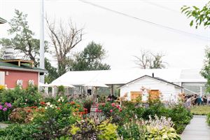 The Patio + Gardens + Tent