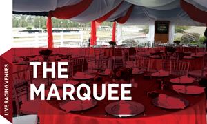 The Marquee