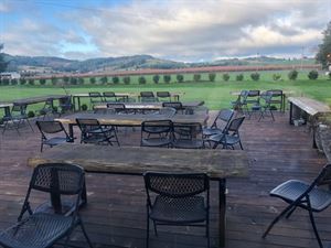 Outdoor Patio/Deck/Grass Rental