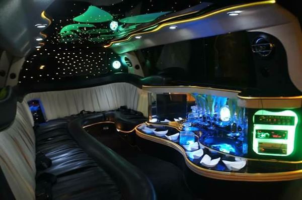 Omega limousines LLC