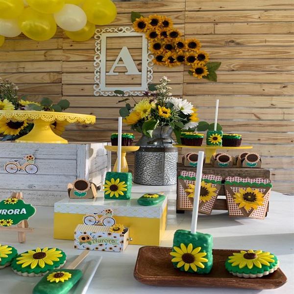 Chikyjump Party Rental