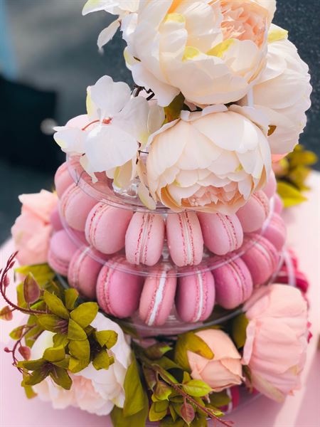 Fuchsia + Cream Macarons