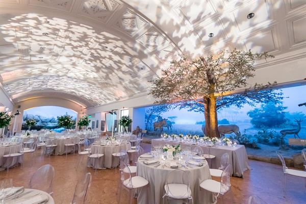 California Academy Of Sciences