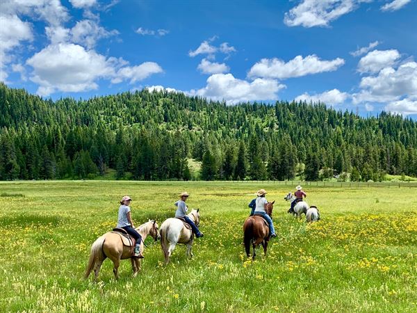 Longhorn Guest Ranch