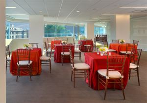 Eighth Floor & Terrace