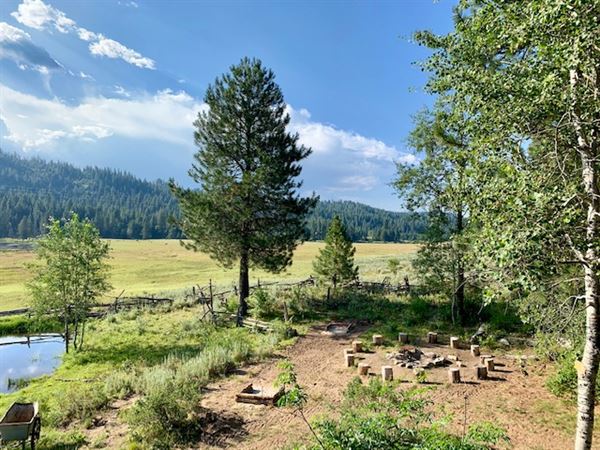 Longhorn Guest Ranch