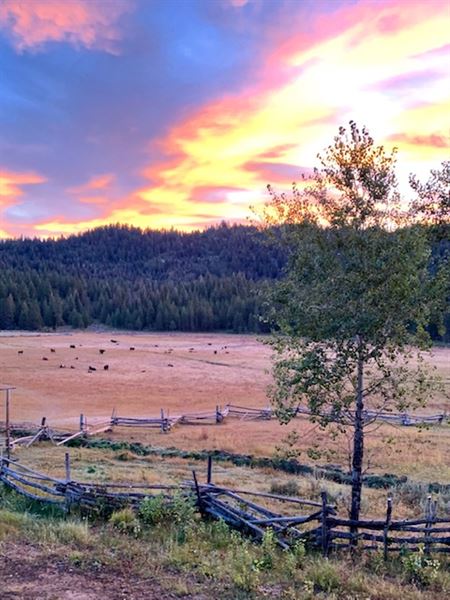 Longhorn Guest Ranch