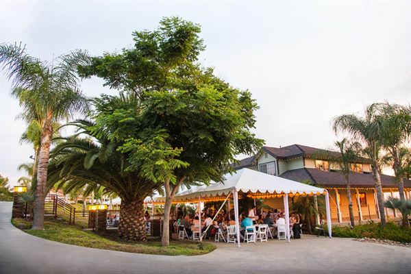 Chapin Family Vineyards