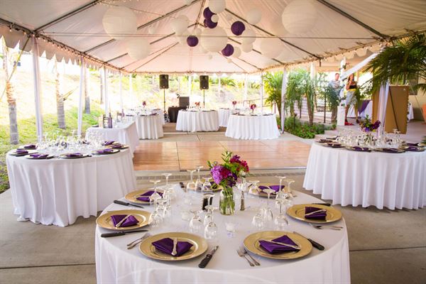 Chapin Family Vineyards