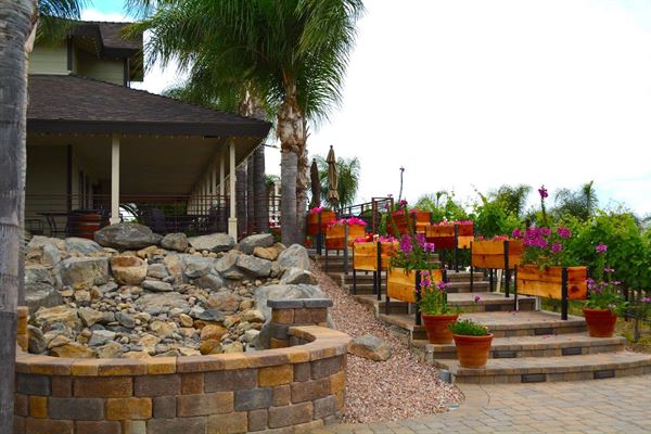 Chapin Family Vineyards