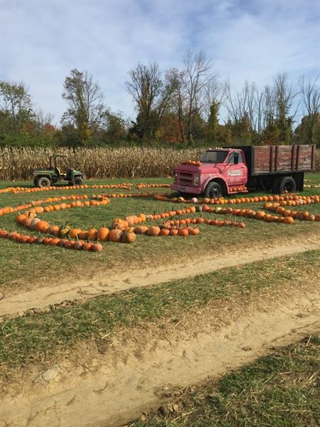 Windmill Farm Market