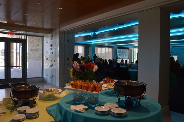 The Anderson Pavilion