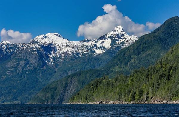 Backeddy Resort And Marina