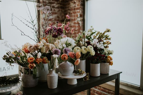 paper forest design + planning