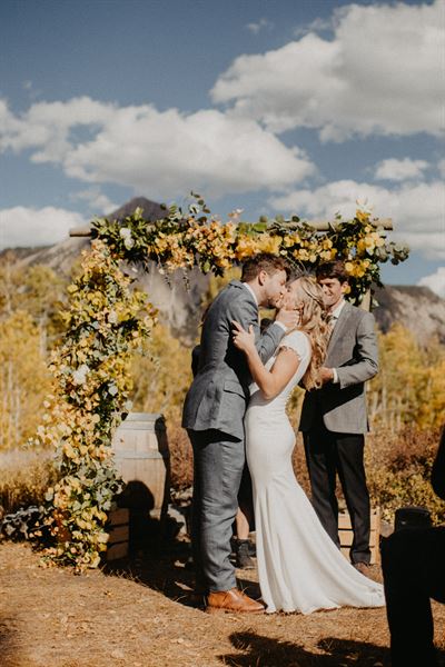 paper forest design + planning