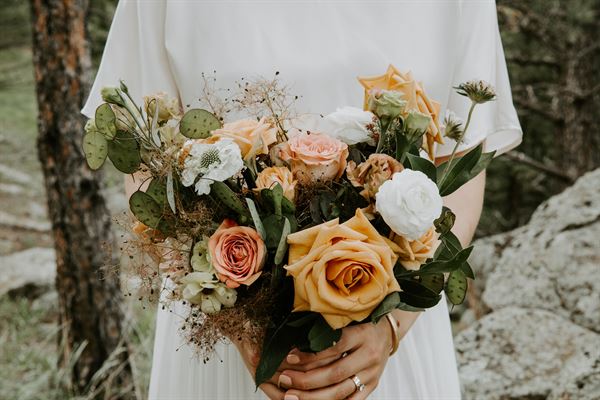 paper forest design + planning