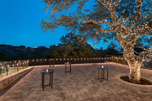 Live Oak Patio