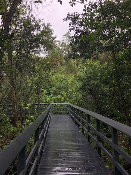 Fern Forest Nature Center