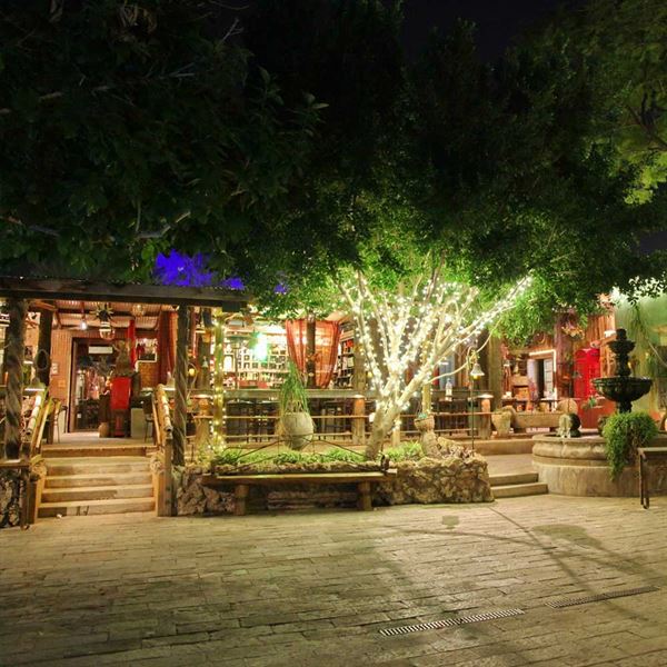 Boojum Tree Hidden Gardens