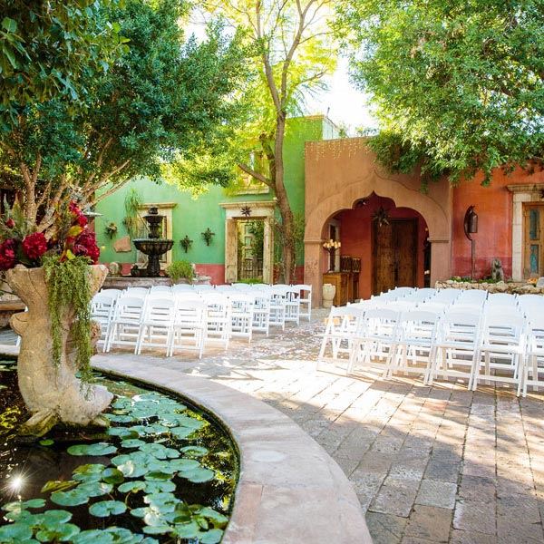 Boojum Tree Hidden Gardens