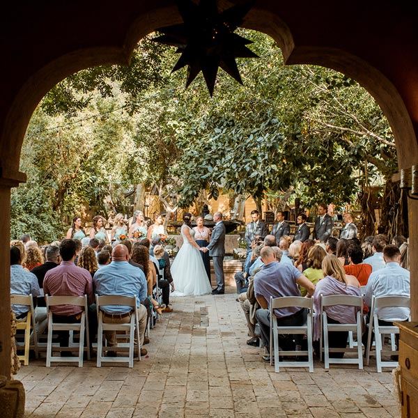 Boojum Tree Hidden Gardens