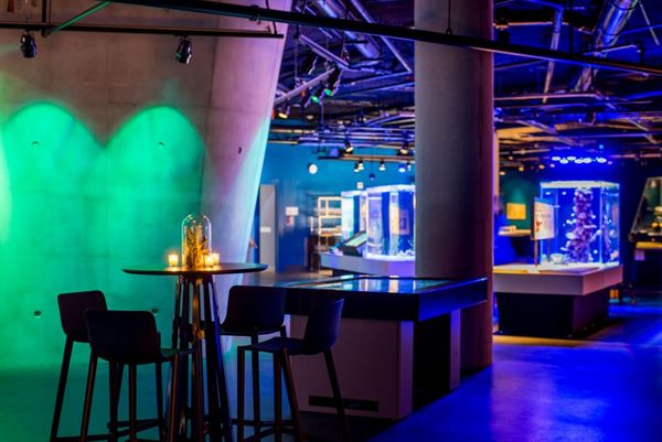 Phillip and Patricia Frost Museum of Science