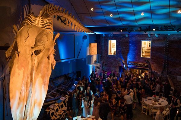 Nantucket Whaling Museum and Rooftop Deck