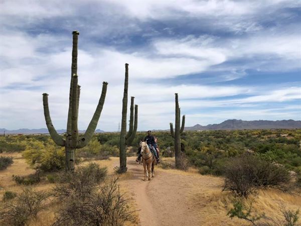 Cave Creek Outfitters