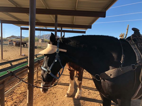 Cave Creek Outfitters